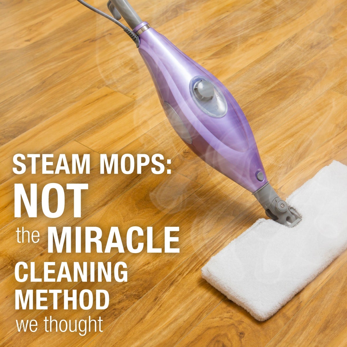 Steam_Mops_1 Steam_Mops_1
